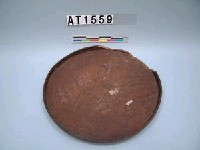 藏品(籠蓋)的圖片